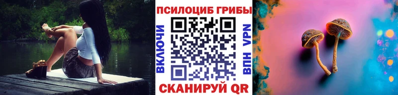 shop официальный сайт  Ачхой-Мартан  Псилоцибиновые грибы GOLDEN TEACHER 